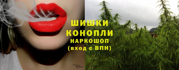 гидра Михайловка