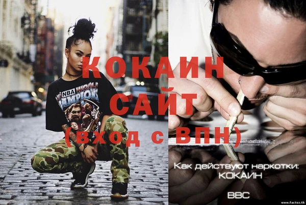 гидра Михайловка