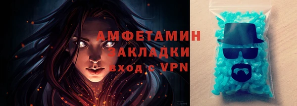 гидра Михайловка