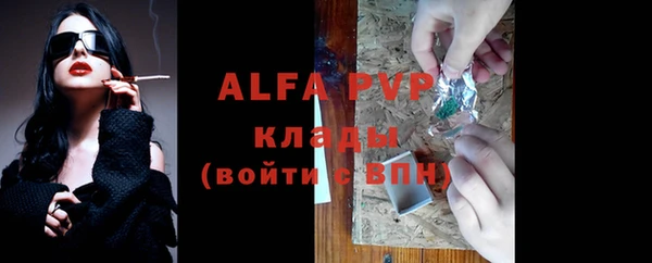 гидра Михайловка