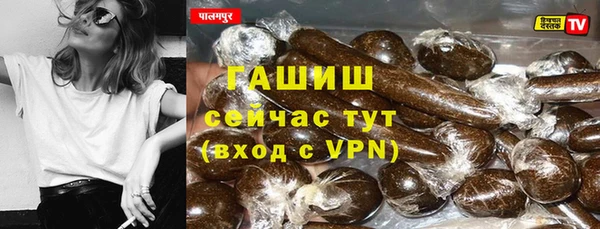 гидра Михайловка