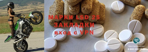 гидра Михайловка