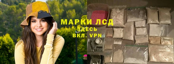 гидра Михайловка