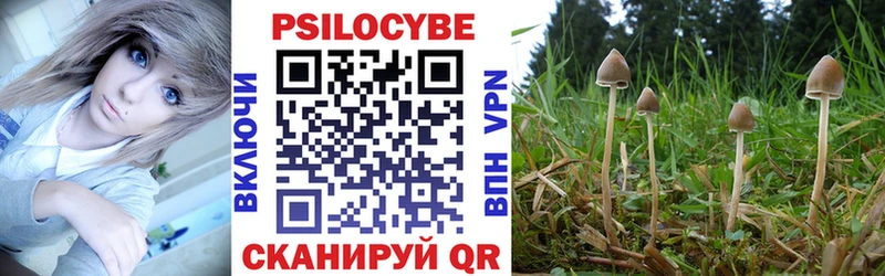 купить наркоту  Отрадный  Псилоцибиновые грибы мухоморы 